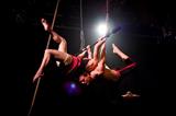 Cabaret Zirkus - Blue Phoenix Circus Troupe (Photo by Paul Hogrefe)